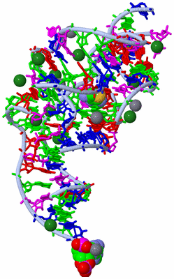 Image Asym./Biol. Unit