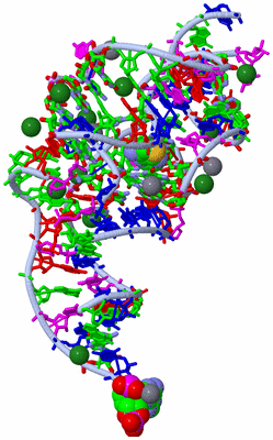 Image Asym./Biol. Unit - sites