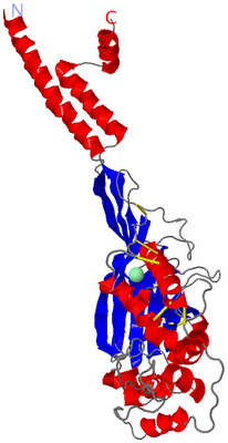 Image Asymmetric Unit