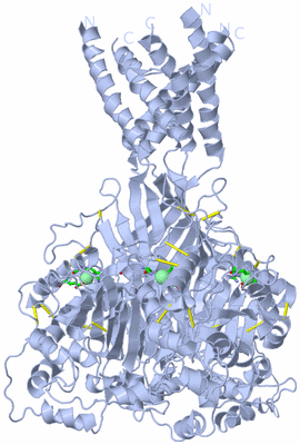 Image Biol. Unit 1 - sites