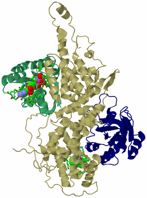 Image Asym./Biol. Unit - sites