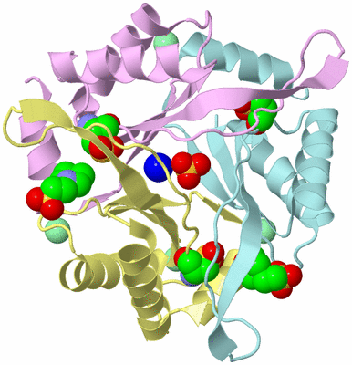 Image Biological Unit 2