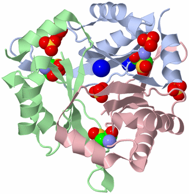 Image Biological Unit 1