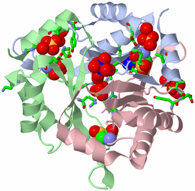 Image Biol. Unit 1 - sites