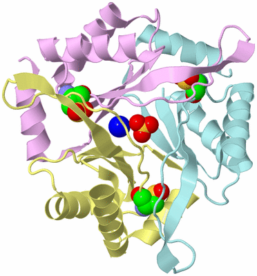 Image Biological Unit 2