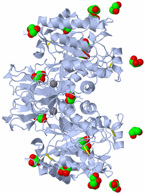 Image Biological Unit 1