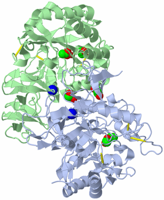 Image Biological Unit 1