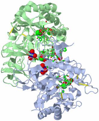 Image Biol. Unit 1 - sites