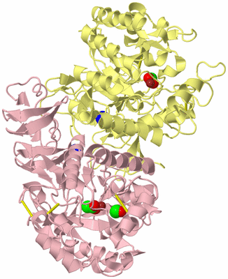 Image Biological Unit 2