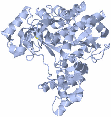 Image Biological Unit 1