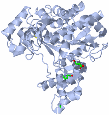 Image Biol. Unit 1 - sites