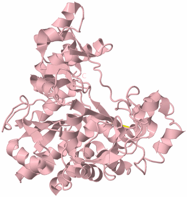 Image Biological Unit 3