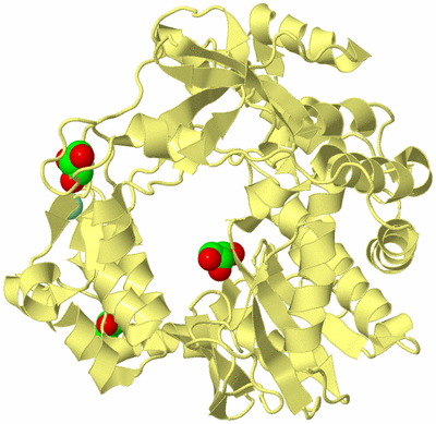 Image Biological Unit 4