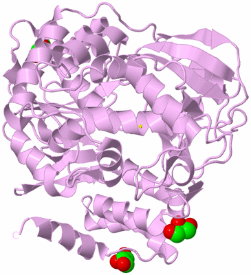 Image Biological Unit 5