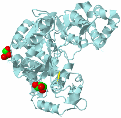 Image Biological Unit 6