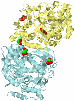 Image Biological Unit 7