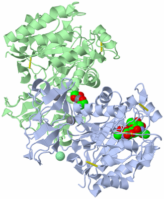 Image Asym./Biol. Unit