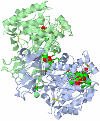 Image Asym./Biol. Unit - sites