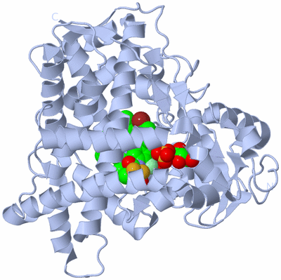 Image Biological Unit 1