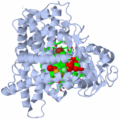 Image Biol. Unit 1 - sites