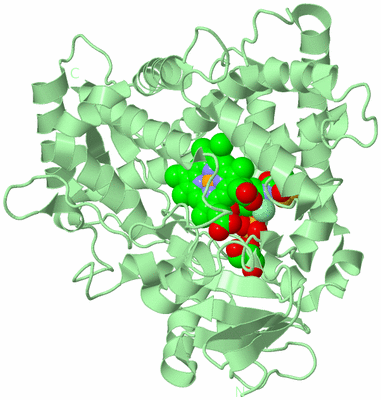 Image Biological Unit 2