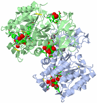 Image Asym./Biol. Unit - sites