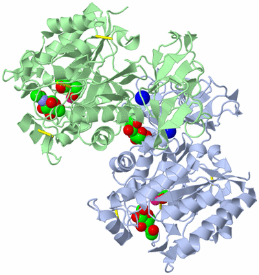 Image Asym./Biol. Unit