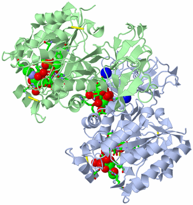 Image Asym./Biol. Unit - sites