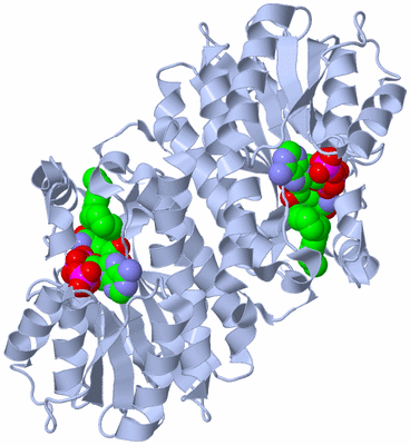 Image Biological Unit 2