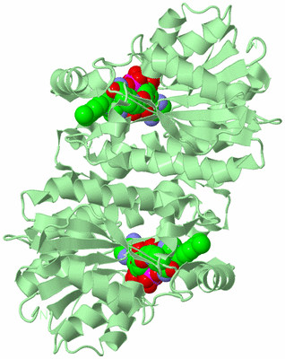 Image Biological Unit 3