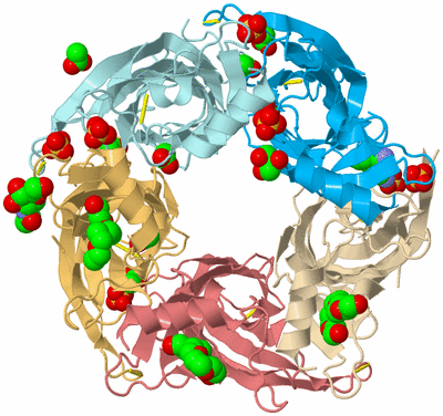 Image Biological Unit 1