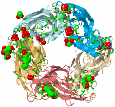 Image Biol. Unit 1 - sites