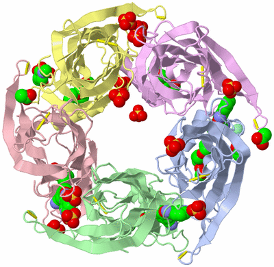 Image Biological Unit 2