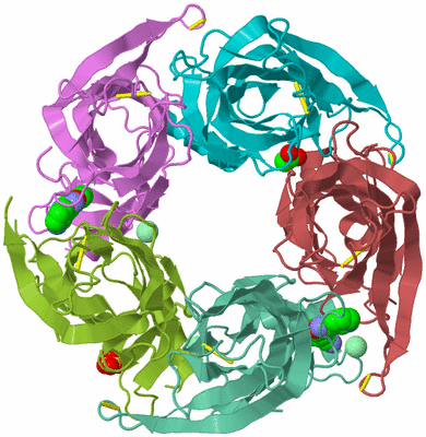 Image Biological Unit 3