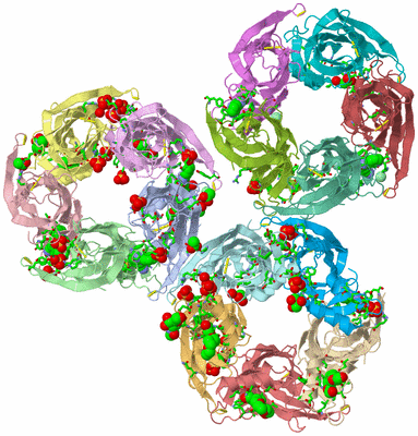 Image Asym. Unit - sites