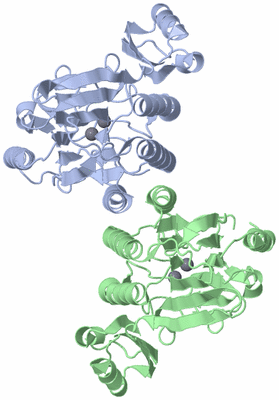 Image Asym./Biol. Unit