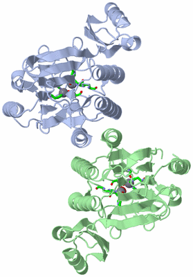 Image Asym./Biol. Unit - sites