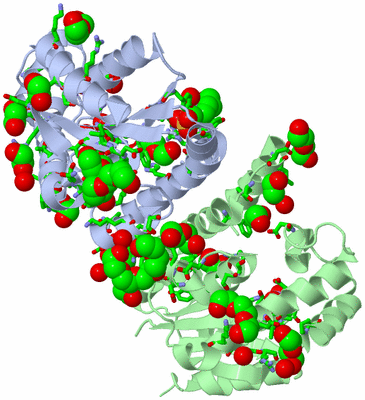 Image Asym./Biol. Unit - sites