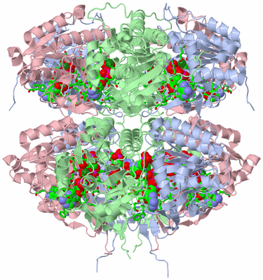 Image Biol. Unit 1 - sites