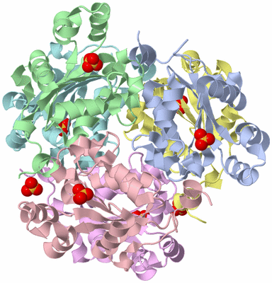 Image Biological Unit 1