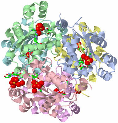 Image Biol. Unit 1 - sites