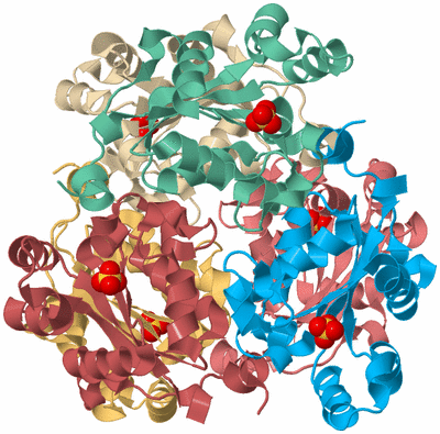 Image Biological Unit 2