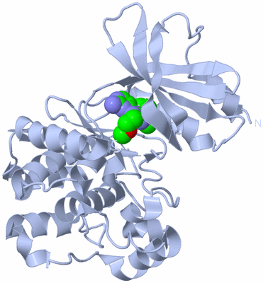 Image Biological Unit 1