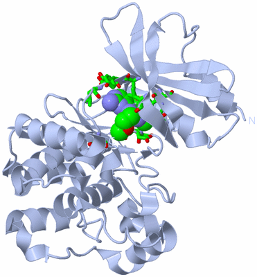 Image Biol. Unit 1 - sites