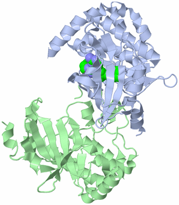 Image Biological Unit 3