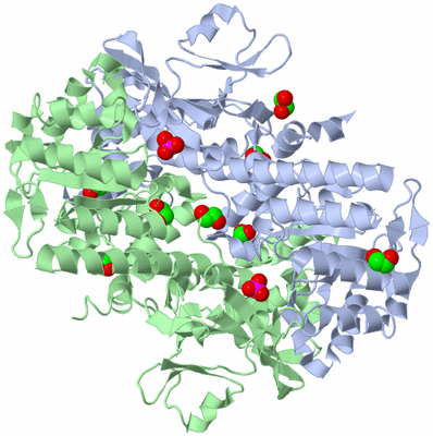 Image Asym./Biol. Unit