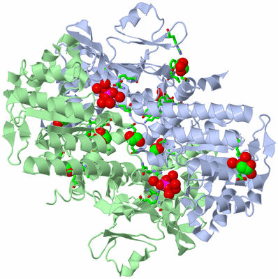 Image Asym./Biol. Unit - sites