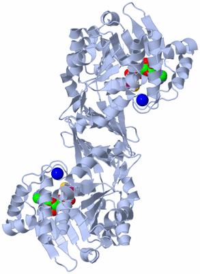 Image Biological Unit 1