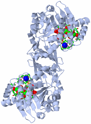 Image Biol. Unit 1 - sites