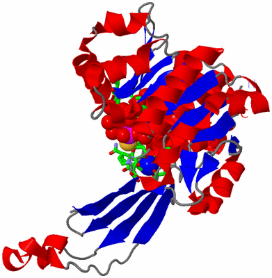 Image Asym. Unit - sites